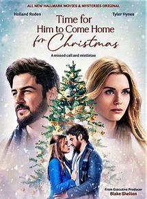Affiche de Un cadeau de Noël inattendu, film à voir en streaming sur Pygargue
