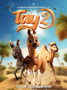 Affiche de Tay 2: Ababil Team, film à voir en streaming sur Pygargue