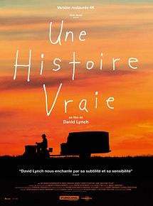 Affiche de Une histoire vraie, film à voir en streaming sur Pygargue