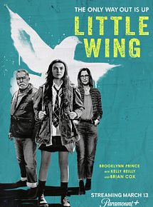 Affiche de Little Wing, film à voir en streaming sur Pygargue