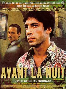 Affiche de Avant la nuit, film à voir en streaming sur Pygargue