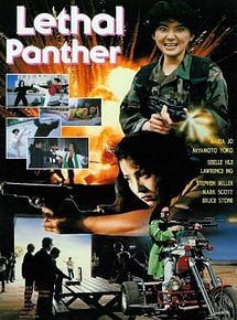 Affiche de Police protection 4, film à voir en streaming sur Pygargue