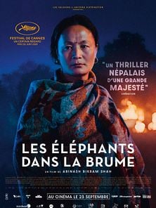 image de Les Elephants dans la brume Bande-annonce VO STFR