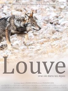 image de Louve, une vie dans les Alpes Bande-annonce VF