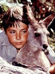 poster de la série Skippy le kangourou Saison 3