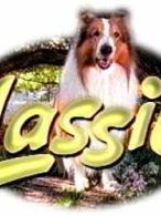 poster de la série Lassie (1997) Saison 1