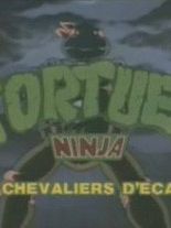 poster de la série Tortues Ninja: Les chevaliers d'écaille Saison 10