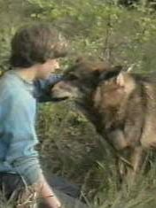 poster de la série Le Vagabond Saison 6