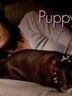 poster de la série Puppy Love Saison 1