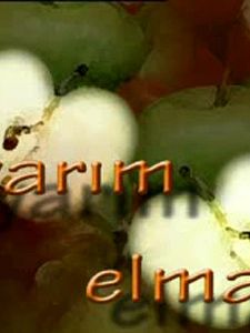 poster de la série Yarım Elma Saison 2