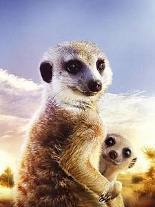 poster de la série Le Clan des suricates Saison 4