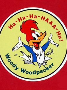 poster de la série Woody Woodpecker Saison 4