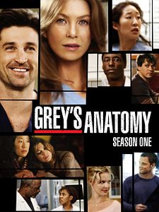 poster de la série Grey's Anatomy Saison 1