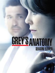poster de la série Grey's Anatomy Saison 11