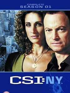 poster de la série Les Experts : Manhattan Saison 1