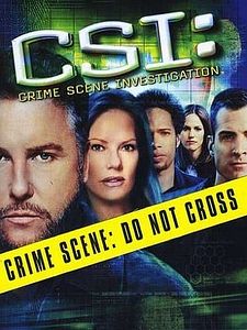 poster de la série Les Experts Saison 4