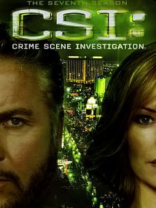 poster de la série Les Experts Saison 7