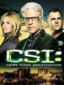 poster de la série Les Experts Saison 13