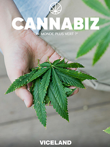 poster de la série Cannabiz Saison 1