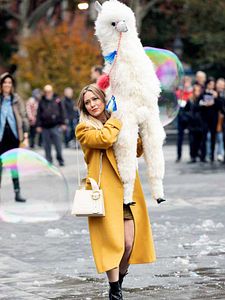 poster de la série Untitled Lizzie McGuire Sequel Saison 1