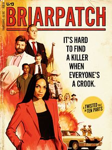 poster de la série Briarpatch Saison 1