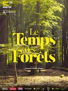 Le Temps des forêts