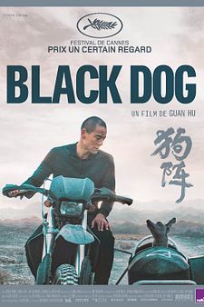 Black Dog