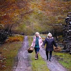 Photo 1 pour Quand vient l'automne