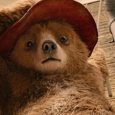 Photo 5 pour Paddington 2