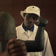 Photo 1 pour Dahomey