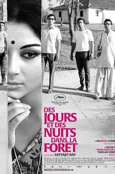 Des jours et des nuits dans la forêt
