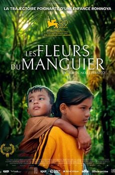 Les Fleurs du manguier