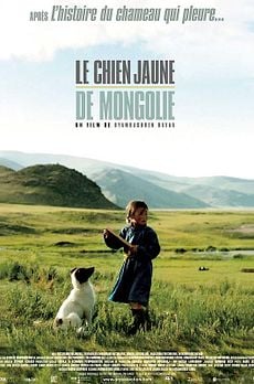 Le chien jaune de Mongolie