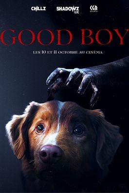 Good Boy