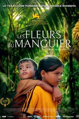 Les Fleurs du manguier