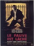 poster de Le Fauve est lâché