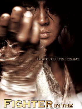poster de Fighter in the wind