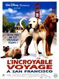 poster de L'Incroyable Voyage à San Francisco