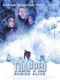 poster de Danger: avalanche !