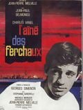 L'Aîné des Ferchaux