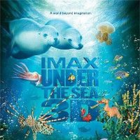 Photo Under the Sea