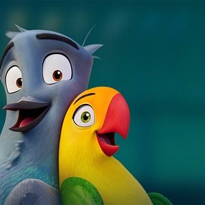 Photo Lovebirds