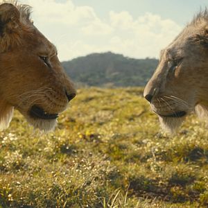 Photo Mufasa : Le Roi Lion