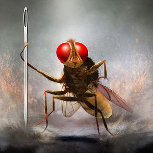 Photo Eega, la mouche vengeresse