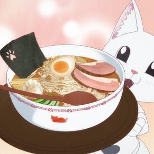 Photo Ramen Akaneko