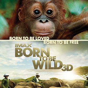 Photo Born to be Wild - Nés pour être libres