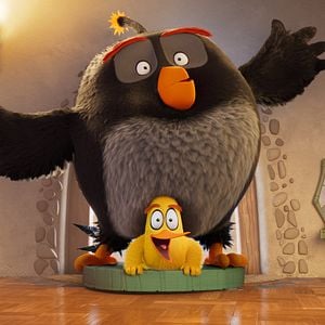 Photo Angry Birds 3 - la grande envolée