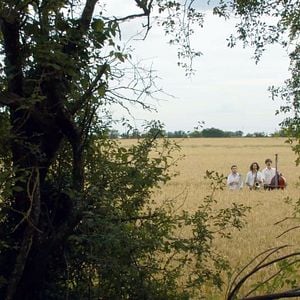 Photo Là où l'herbe est plus verte