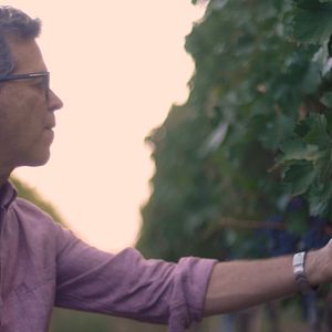 Photo SOMM: Cup of Salvation