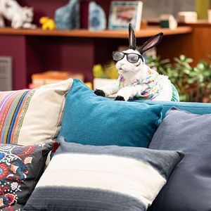 Photo Les Thunderman : Incognito